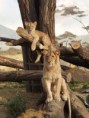 /album/fotogalerie-fotogalerie1/zoo-usti-nad-labem-jpg/
